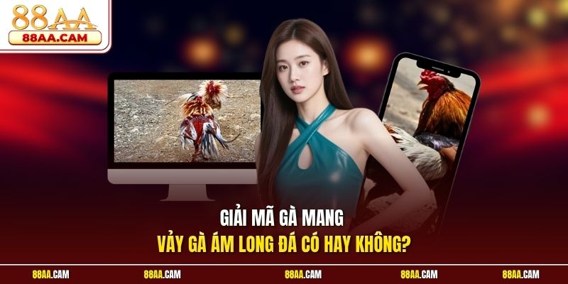Giải mã gà mang vảy gà ám long đá có hay không?