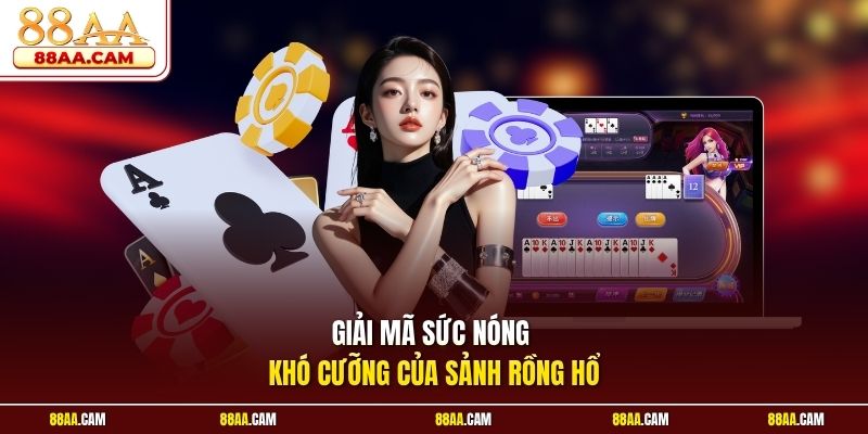 Giải Mã Sức Nóng Khó Cưỡng Của Sảnh Rồng Hổ 